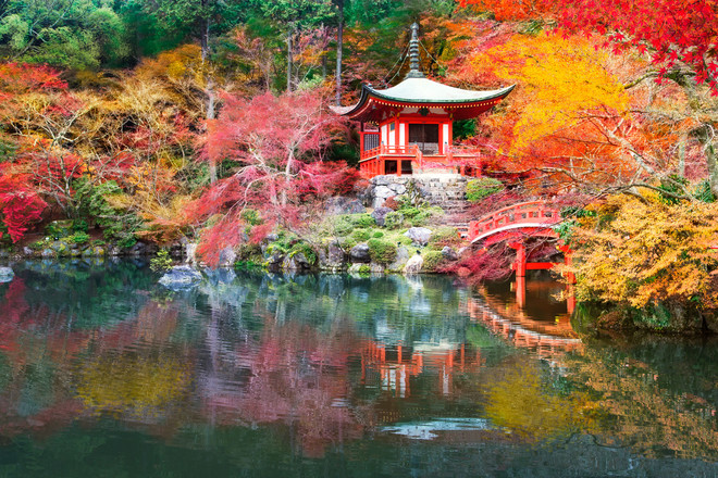 best adventure trips in november best adventure trips in november